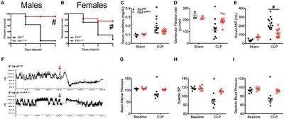 Ferritin Light Chain Confers Protection Against Sepsis-Induced Inflammation and Organ Injury